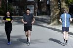 Amsterdam 24 april 2020
Beau en Selly v Erven Dorens aan het hardlopen in het vondelpark.