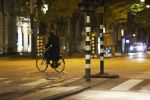Amsterdam 28 april 2020
De opnames van Eva Jinek zijn in de plantage bij artis.
Beau v Erven Dorens