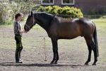 Tynaarlo 16 april 2020
Boerin Annemiek van boer zoekt vrouw .