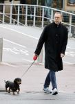 Amsterdam 28 april 2020
Hans Kesting laat zijn hond uit