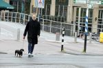 Amsterdam 28 april 2020
Hans Kesting laat zijn hond uit