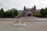 Amsterdam 26 april 2020
Amsterdam is uitgestorven in corona tijd. Bij het paleis op de Dam het Rijksmuseum de grachten de leidsestraat Leidseplein Rembrandtplein etc lopen bijna geen mensen.