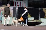 Amsterdam 1 april 2021
Bert Kuizenga en zijn vrouw met de hond aan het wandelen