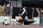 Amsterdam 1 april 2021
Bert Kuizenga en zijn vrouw met de hond aan het wandelen