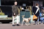 Amsterdam 1 april 2021
Bert Kuizenga en zijn vrouw met de hond aan het wandelen