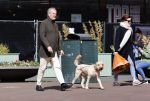 Amsterdam 1 april 2021
Bert Kuizenga en zijn vrouw met de hond aan het wandelen