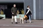Amsterdam 1 april 2021
Bert Kuizenga en zijn vrouw met de hond aan het wandelen