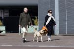 Amsterdam 1 april 2021
Bert Kuizenga en zijn vrouw met de hond aan het wandelen