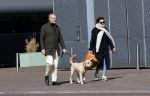 Amsterdam 1 april 2021
Bert Kuizenga en zijn vrouw met de hond aan het wandelen