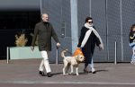 Amsterdam 1 april 2021
Bert Kuizenga en zijn vrouw met de hond aan het wandelen