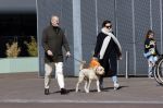 Amsterdam 1 april 2021
Bert Kuizenga en zijn vrouw met de hond aan het wandelen