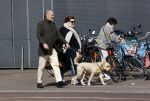 Amsterdam 1 april 2021
Bert Kuizenga en zijn vrouw met de hond aan het wandelen