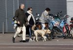 Amsterdam 1 april 2021
Bert Kuizenga en zijn vrouw met de hond aan het wandelen
