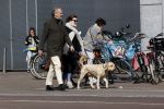 Amsterdam 1 april 2021
Bert Kuizenga en zijn vrouw met de hond aan het wandelen