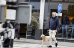 Amsterdam 5 mei 2021
Bert Kuizenga laat de hond van zijn dochter uit