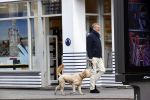 Amsterdam 5 mei 2021
Bert Kuizenga laat de hond van zijn dochter uit