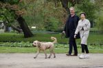 Amsterdam 11 mei 2021
Bert Kuizenga en zijn wandelend in het vondelpark met de hond van hun dochter