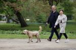 Amsterdam 11 mei 2021
Bert Kuizenga en zijn wandelend in het vondelpark met de hond van hun dochter