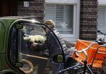 Amsterdam 17 april 2021 
Connie Witteman brengt een grote bos met witte rozen naar het huis van haar zoon Marvin . De Vriend van Marvin Breukhoven neemt ze in ontvangst
