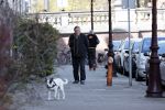 Amsterdam 15 april 2021
Hans v d Togt laat zijn hond uit.