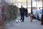 Amsterdam 15 april 2021
Hans v d Togt laat zijn hond uit.