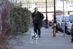 Amsterdam 15 april 2021
Hans v d Togt laat zijn hond uit.