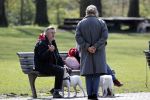 Amsterdam 16 april 2021
Hans v d Togt met vrienden en honden in het Beatrixpark