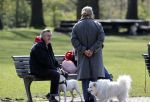 Amsterdam 16 april 2021
Hans v d Togt met vrienden en honden in het Beatrixpark