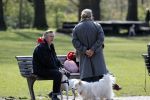 Amsterdam 16 april 2021
Hans v d Togt met vrienden en honden in het Beatrixpark