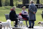 Amsterdam 16 april 2021
Hans v d Togt met vrienden en honden in het Beatrixpark