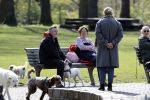 Amsterdam 16 april 2021
Hans v d Togt met vrienden en honden in het Beatrixpark