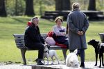 Amsterdam 16 april 2021
Hans v d Togt met vrienden en honden in het Beatrixpark
