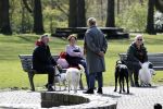 Amsterdam 16 april 2021
Hans v d Togt met vrienden en honden in het Beatrixpark