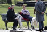 Amsterdam 16 april 2021
Hans v d Togt met vrienden en honden in het Beatrixpark