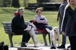 Amsterdam 16 april 2021
Hans v d Togt met vrienden en honden in het Beatrixpark