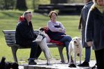 Amsterdam 16 april 2021
Hans v d Togt met vrienden en honden in het Beatrixpark