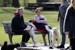 Amsterdam 16 april 2021
Hans v d Togt met vrienden en honden in het Beatrixpark