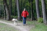 Rolde 19 mei 2021
Johan Derksen aan het wandelen met zijn hond in de boosen bij Rolde