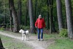 Rolde 19 mei 2021
Johan Derksen aan het wandelen met zijn hond in de boosen bij Rolde