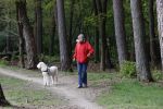 Rolde 19 mei 2021
Johan Derksen aan het wandelen met zijn hond in de boosen bij Rolde