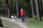 Rolde 19 mei 2021
Johan Derksen aan het wandelen met zijn hond in de boosen bij Rolde