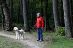 Rolde 19 mei 2021
Johan Derksen aan het wandelen met zijn hond in de boosen bij Rolde