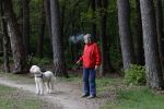 Rolde 19 mei 2021
Johan Derksen aan het wandelen met zijn hond in de boosen bij Rolde