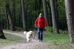 Rolde 19 mei 2021
Johan Derksen aan het wandelen met zijn hond in de boosen bij Rolde