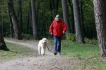 Rolde 19 mei 2021
Johan Derksen aan het wandelen met zijn hond in de boosen bij Rolde
