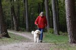 Rolde 19 mei 2021
Johan Derksen aan het wandelen met zijn hond in de boosen bij Rolde