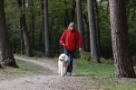 Rolde 19 mei 2021
Johan Derksen aan het wandelen met zijn hond in de boosen bij Rolde