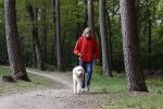 Rolde 19 mei 2021
Johan Derksen aan het wandelen met zijn hond in de boosen bij Rolde