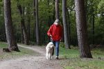 Rolde 19 mei 2021
Johan Derksen aan het wandelen met zijn hond in de boosen bij Rolde