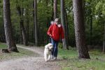 Rolde 19 mei 2021
Johan Derksen aan het wandelen met zijn hond in de boosen bij Rolde